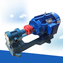 廠家定制 2CY齒輪油泵 重油泵 加工潤滑油泵 定制齒輪泵