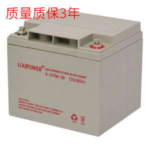 现货供应莱力蓄电池6-GFM-38 包邮Loupower莱力蓄电池12V38AH