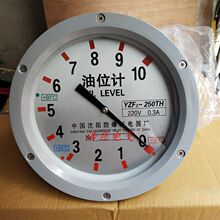 YZF2-250TH YZS2-250TH��λӋ ҺλӋ ׃����ָ���λӋ