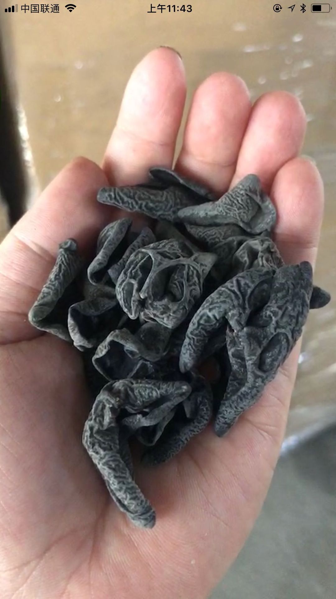 QQ图片20190924093434