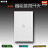 美规热水器智能wifi开关家用远程涂鸦智能语音控制触摸面板开关