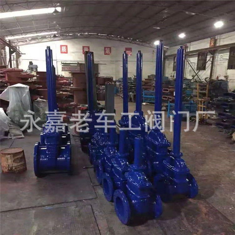 Z45X-25C DN500 橡胶板闸阀 加长杆暗杆铸钢软密封闸阀 WCB材质