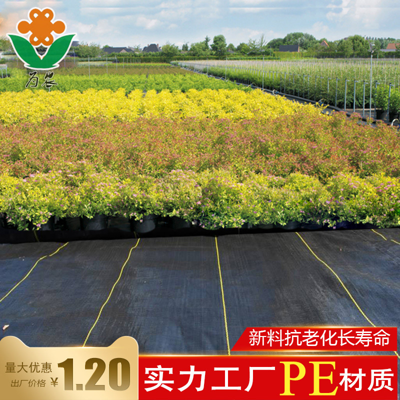 Polyethylene Material Science gardening Ground cloth Anti grass cloth/Makeup/Weed cloth/Ground woven film /PE Protective film