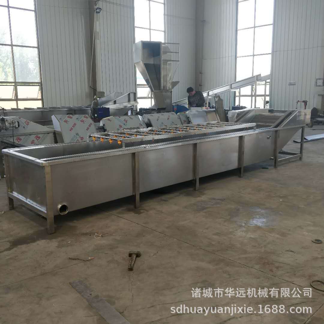 蔬菜清洗去泥流水线   果蔬清洗机   菜类加工清洗专业设备