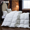 Manufactor Direct selling Cotton Down quilt 95% Goose down The quilt core quilt Double keep warm thickening Winter quilt
