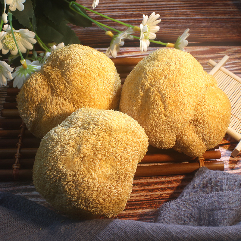 Origin supply Hongyuan Furuta Hericium dried food 500g fresh Mushroom Of large number wholesale