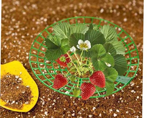 45fd50688bfaa82bd2d890421a81b3