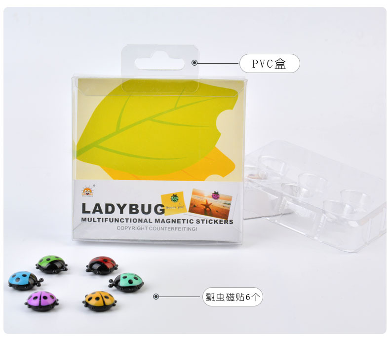 RB238瓢虫磁贴12.jpg