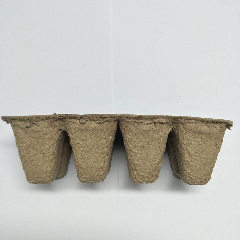 未标题-1_0003_IMG20190323141850