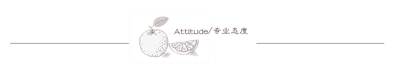 Pull femme en Laine - Ref 3414642 Image 29