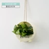 Rice White Flower Basket+Green Luo