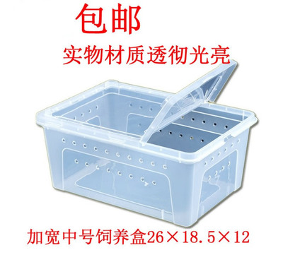 包邮爬虫饲养盒高透窗口磨砂蜘蛛守宫蜗牛甲虫蛇角蛙石纹躲避食盆