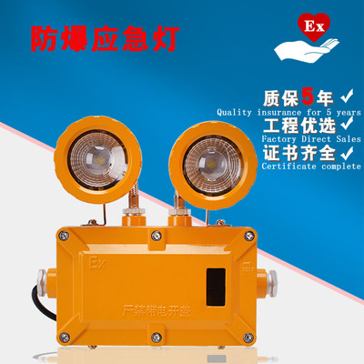 LED Double head explosion-proof emergency lamp Safe exit Evacuate charge Electricity storage Lighting indicator Explosion proof lamp