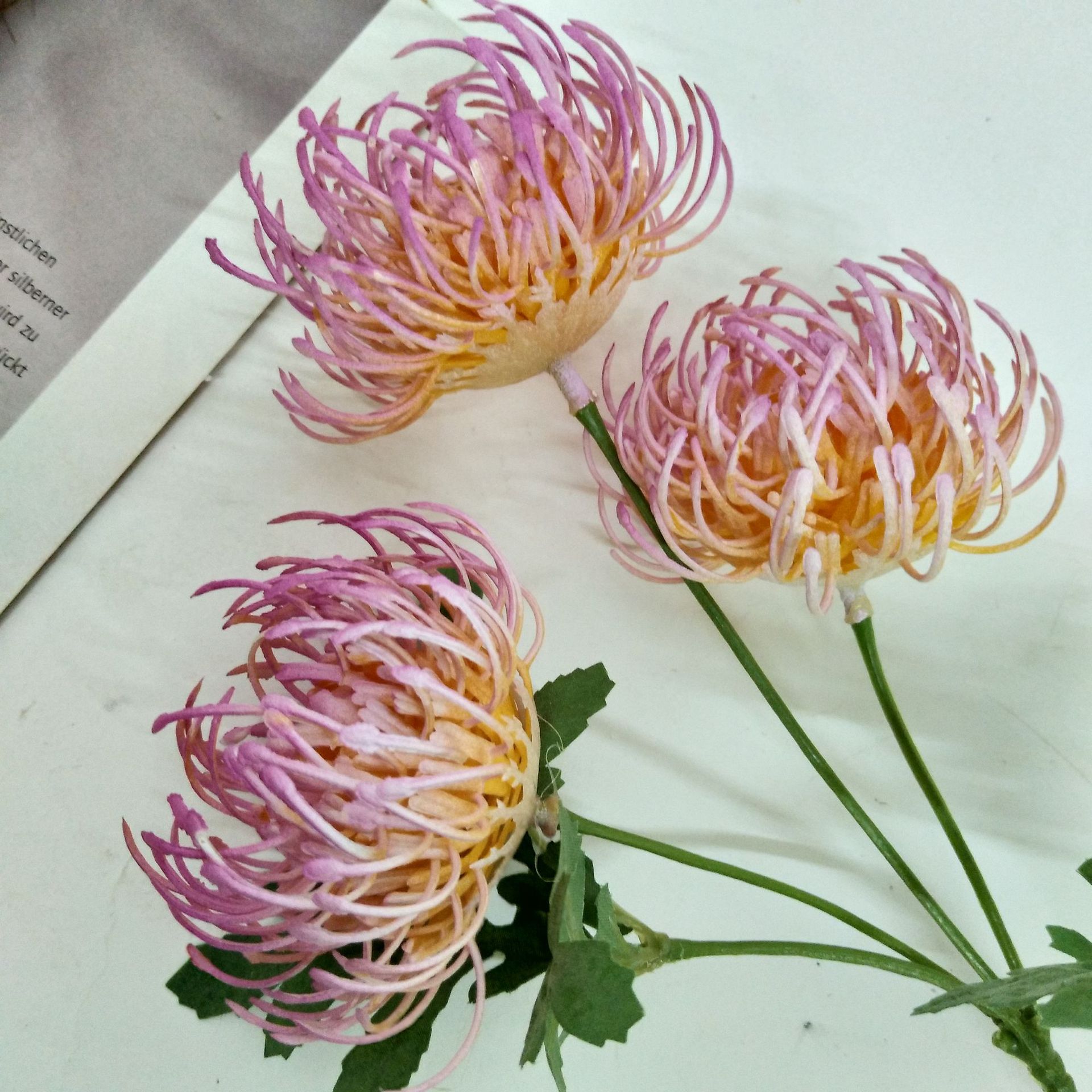 微信图片_201906061147152