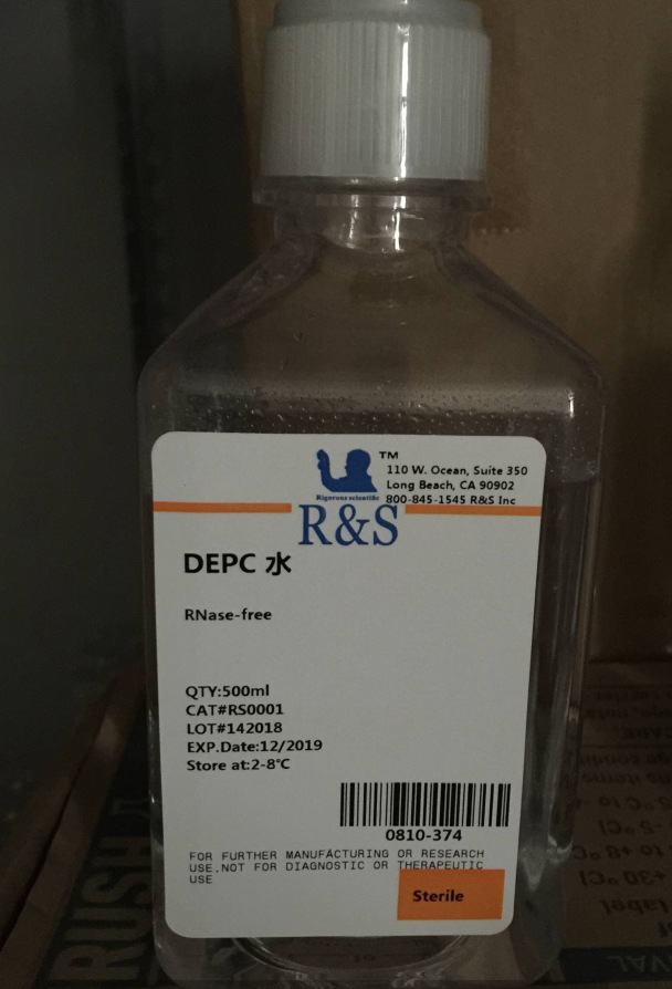DEPC水(DNase、RNase free) DEPC 处理水 500ML即用型