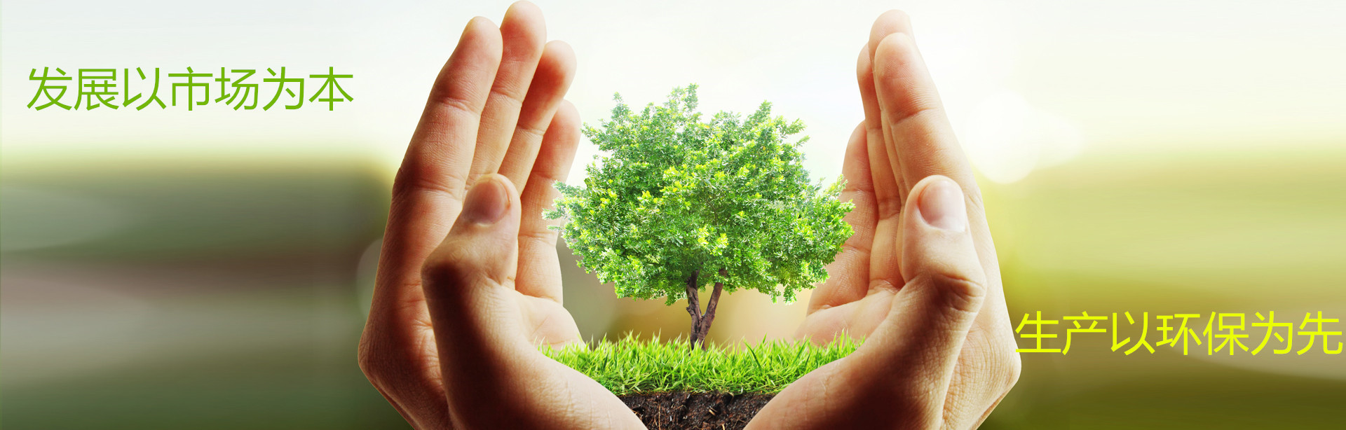 8616093485_486892440