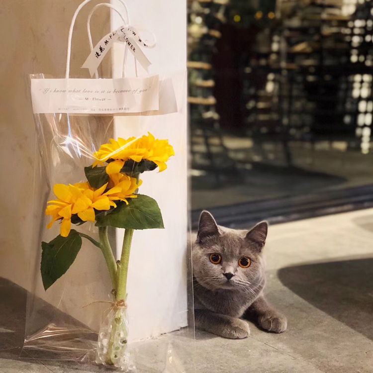 10 bolso de Pvc ins Flower Net rojo portátil Rosa flor bolsa ramo de una sola rama multi-rama bolsa transparente púrpura