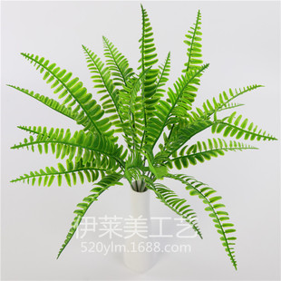 4С˹ݷֲGֲbݻcG~ާ