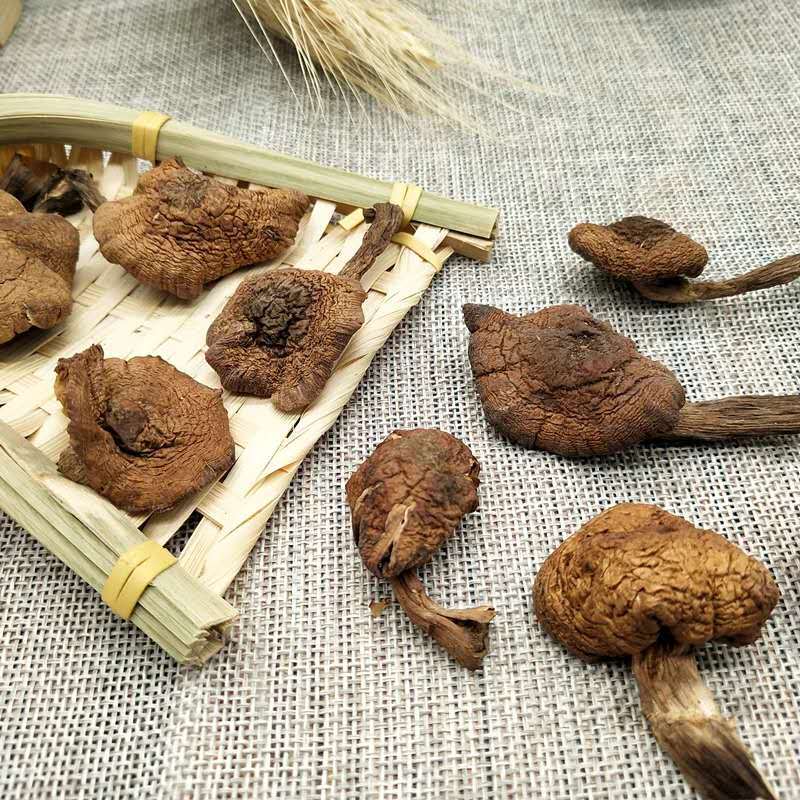 Dried Hazel Mushroom 500g Rootless Grade One Jilin Dried Mushroom for Chicken Stew key features