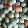 武汉厂家直销绿壳土鸡蛋，初生绿壳蛋，乌鸡蛋，青壳蛋