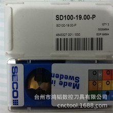 SD100-19.00-PWSECO/ɽߔӲ|Ͻʹ荼 荿׵Ƭ