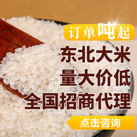 东北特产大米2.5/10/25kg珍珠米50斤小町新粳米产地货源支持大货