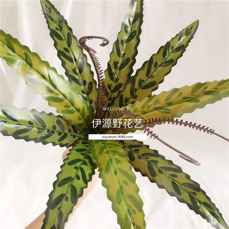 绿色植物绢布高仿凤尾草蕨植物墙配材装饰仿真波斯蕨类叶欧式叶子