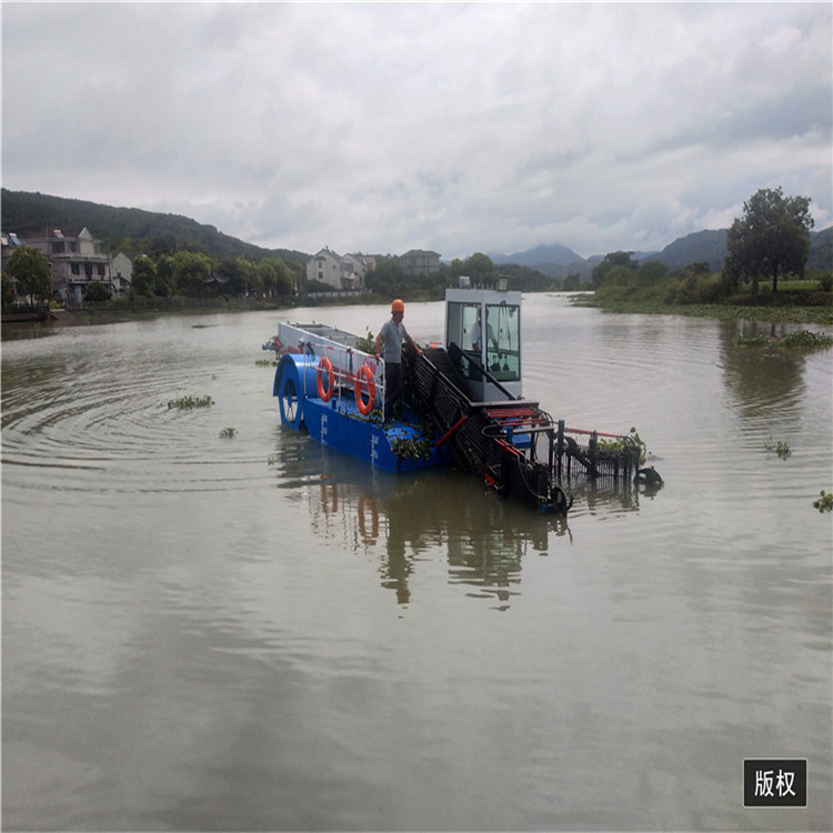 厂家生产机械话割草船 云南水葫芦打捞船 收割水面垃圾设备