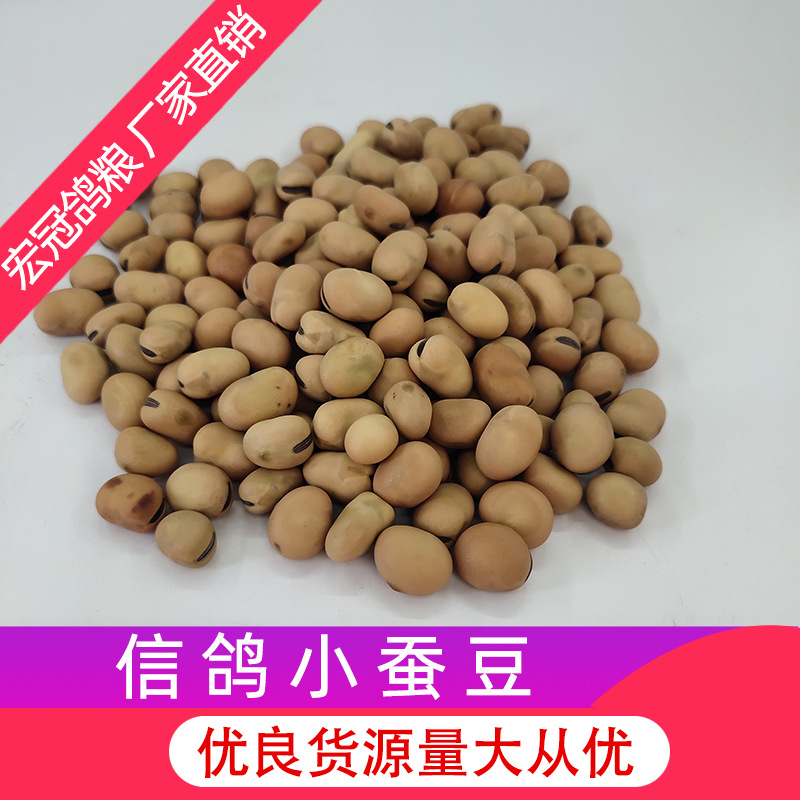 厂家批发蚕豆优良饱满小蚕豆五谷杂粮原料信鸽鸽子专用小蚕豆鸽粮|ru