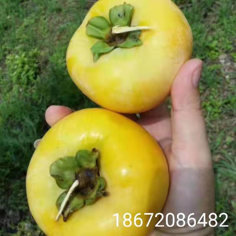 微信图片_20190930201722