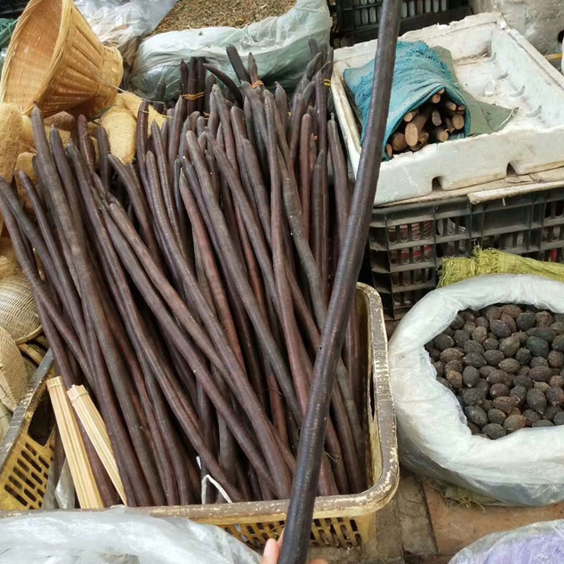 Constipation fruit Great solution Mysterious fruit high quality Source of goods Constipation Magic fruit Large cargo wholesale On behalf of