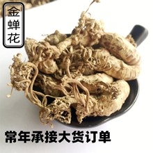 供应 金蝉花新货金蚕花虫草 土蝉花农产品 蝉蛹 金花 蛹茸 虫花P