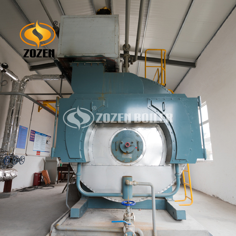 蒸汽鍋爐WNS (14)