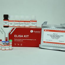 大鼠白细胞介素6酶联免疫试剂盒rat IL-6 Elisa Kit  Elisa试剂盒