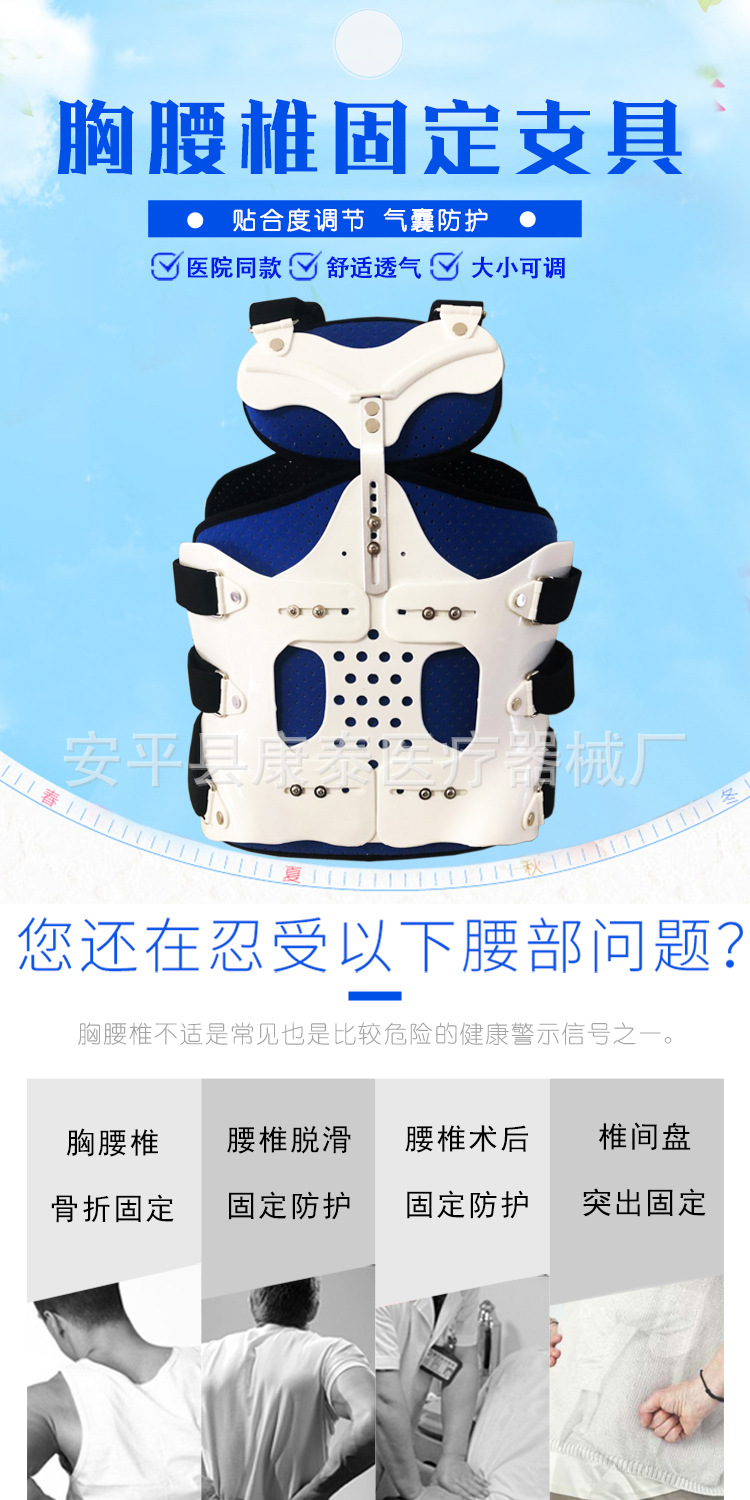 胸腰椎1
