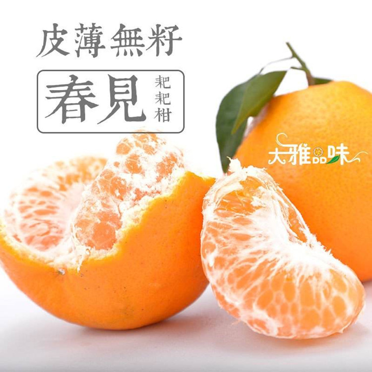 四川春见耙耙柑不知火丑橘时令水果新鲜水果柑橘一件代发大果|ru