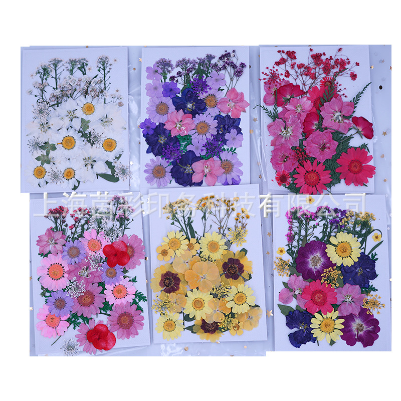 幹花DIY押花書簽化妝寫真 壓花真樹葉植物標本滴膠手機殼手工天然