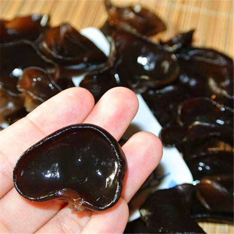 QQ图片20190303103639