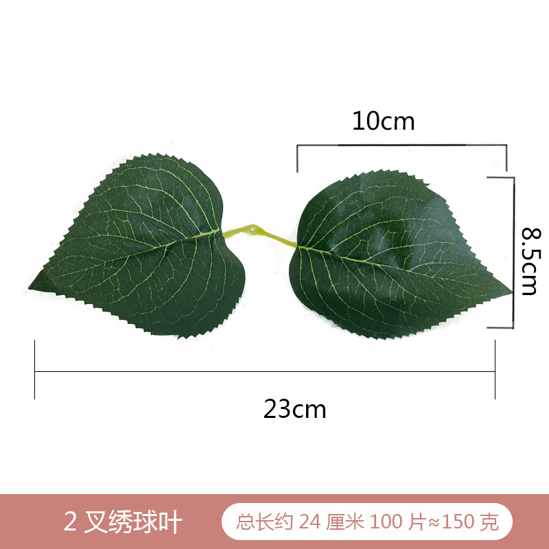 绣球