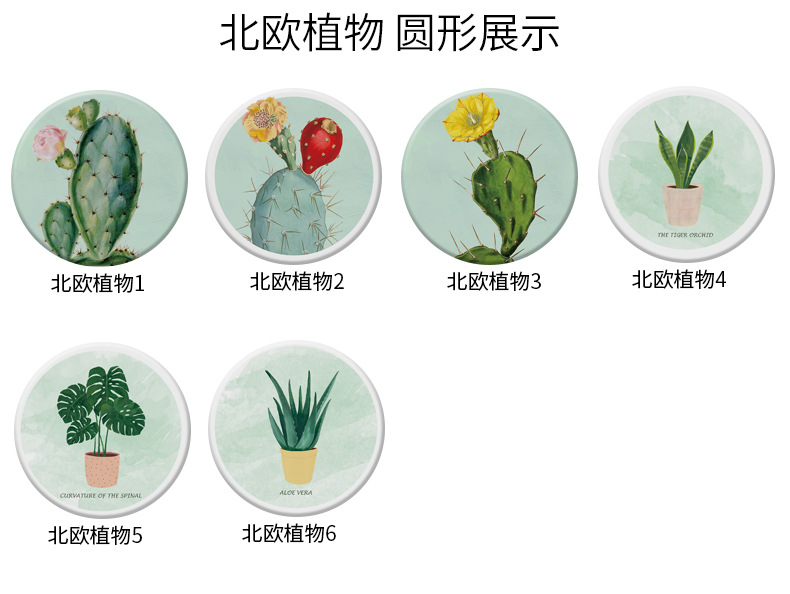 北欧植物系列详情_05.jpg