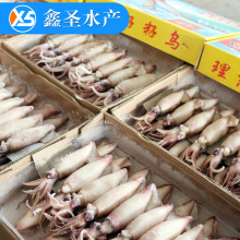 冷冻海鲜批发价格】_冷冻海鲜批发价格品牌\/图