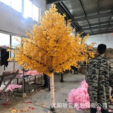 lטּ٘＾ꐾƵꙻ̈b[ŷ