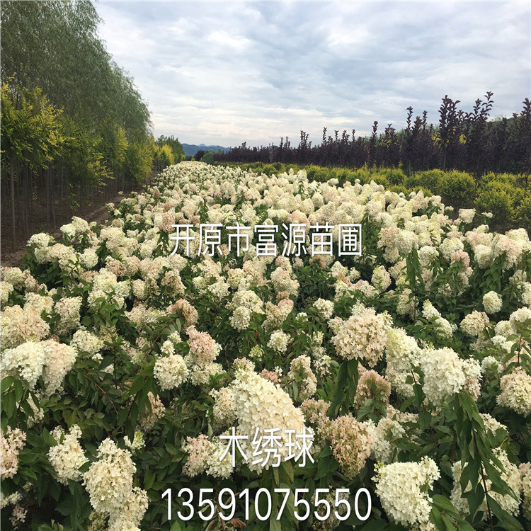 微信图片_20190315200007