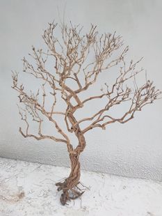 ��ɫ�ɿݘ�֦��֦�S�ݘ�ɰ��������͘�٘�����֦�b�
