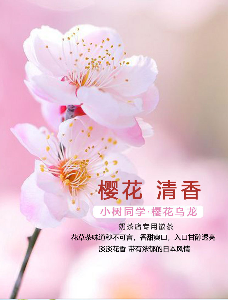 樱花乌龙散茶_01.jpg