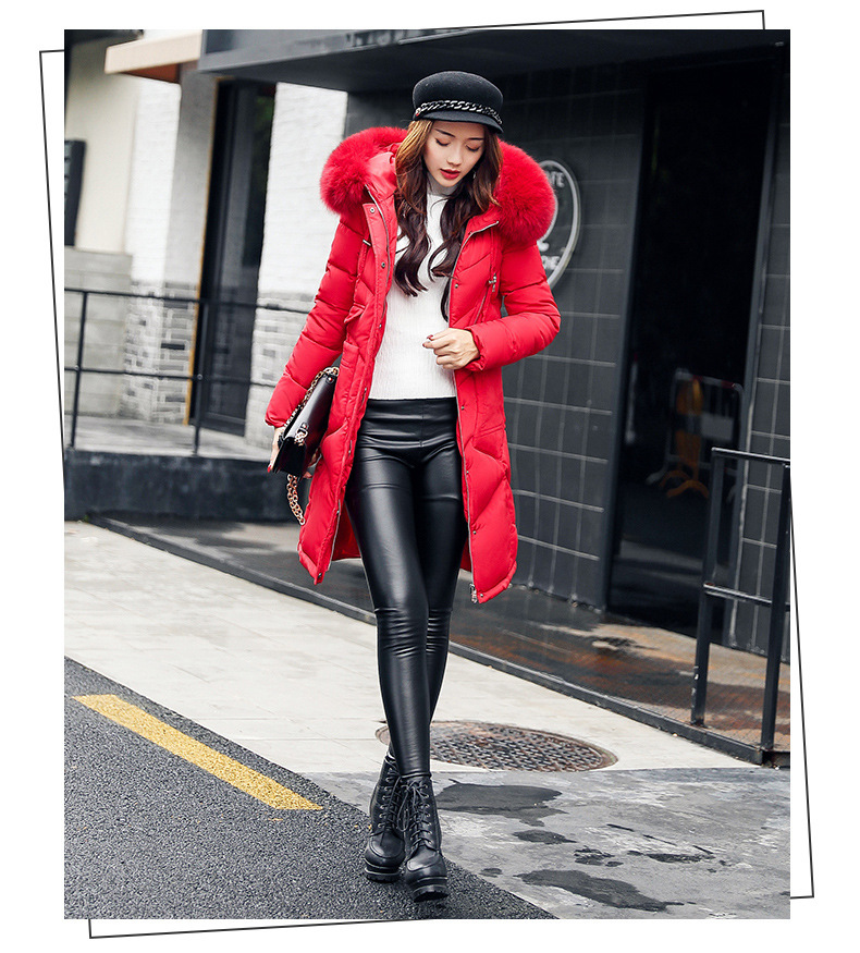 Long Cotton Jacket Image 7