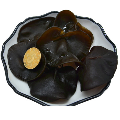 綠知源 黑山中大片 秋木耳特價 農副産品 特産幹貨 黑龍江黑木耳