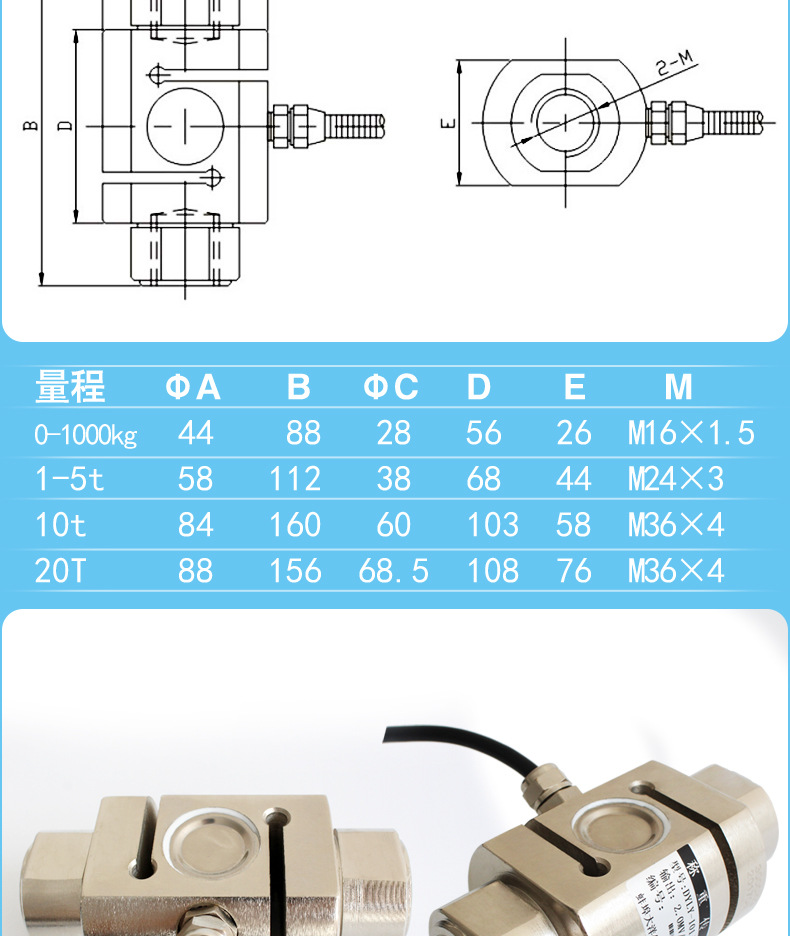 DYLY-101_06.jpg