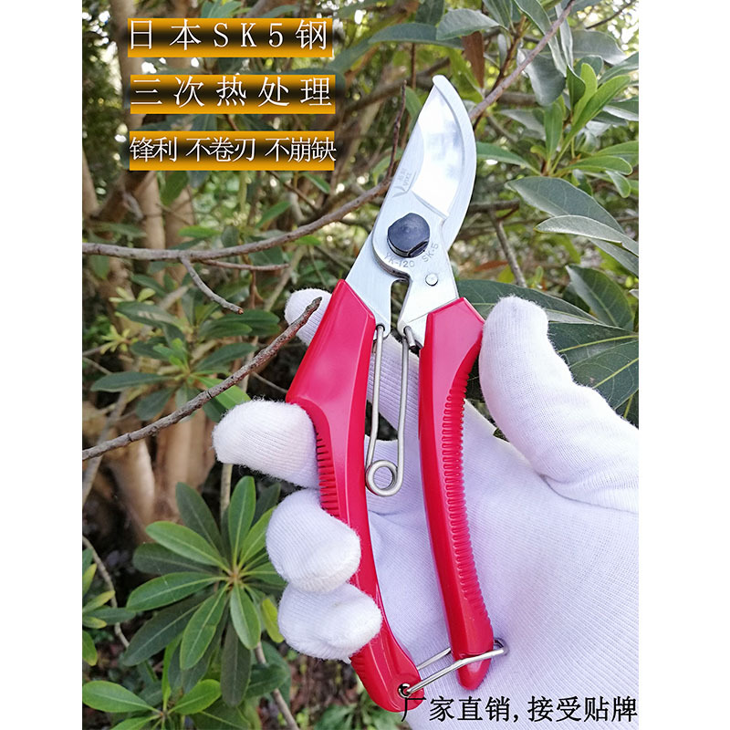 源头厂家SK5钢省力修枝剪 园林园艺剪园林五金工具果树粗枝剪子