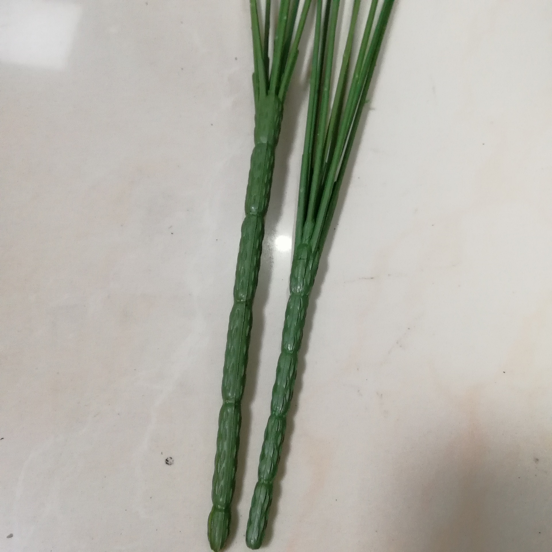 苏丽仿真花枝IMG_20190324_185351